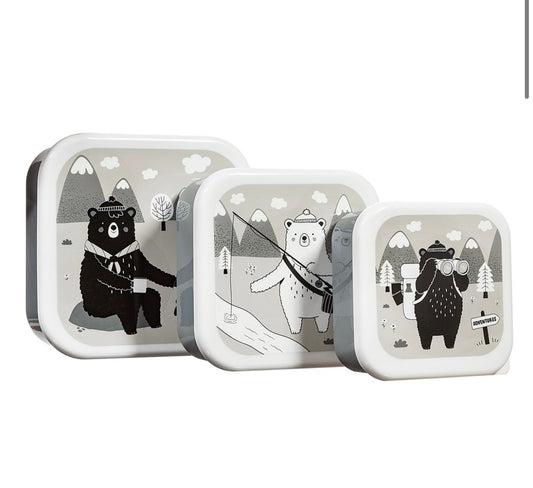 Bear Adventure lunch boxes - Set of Three