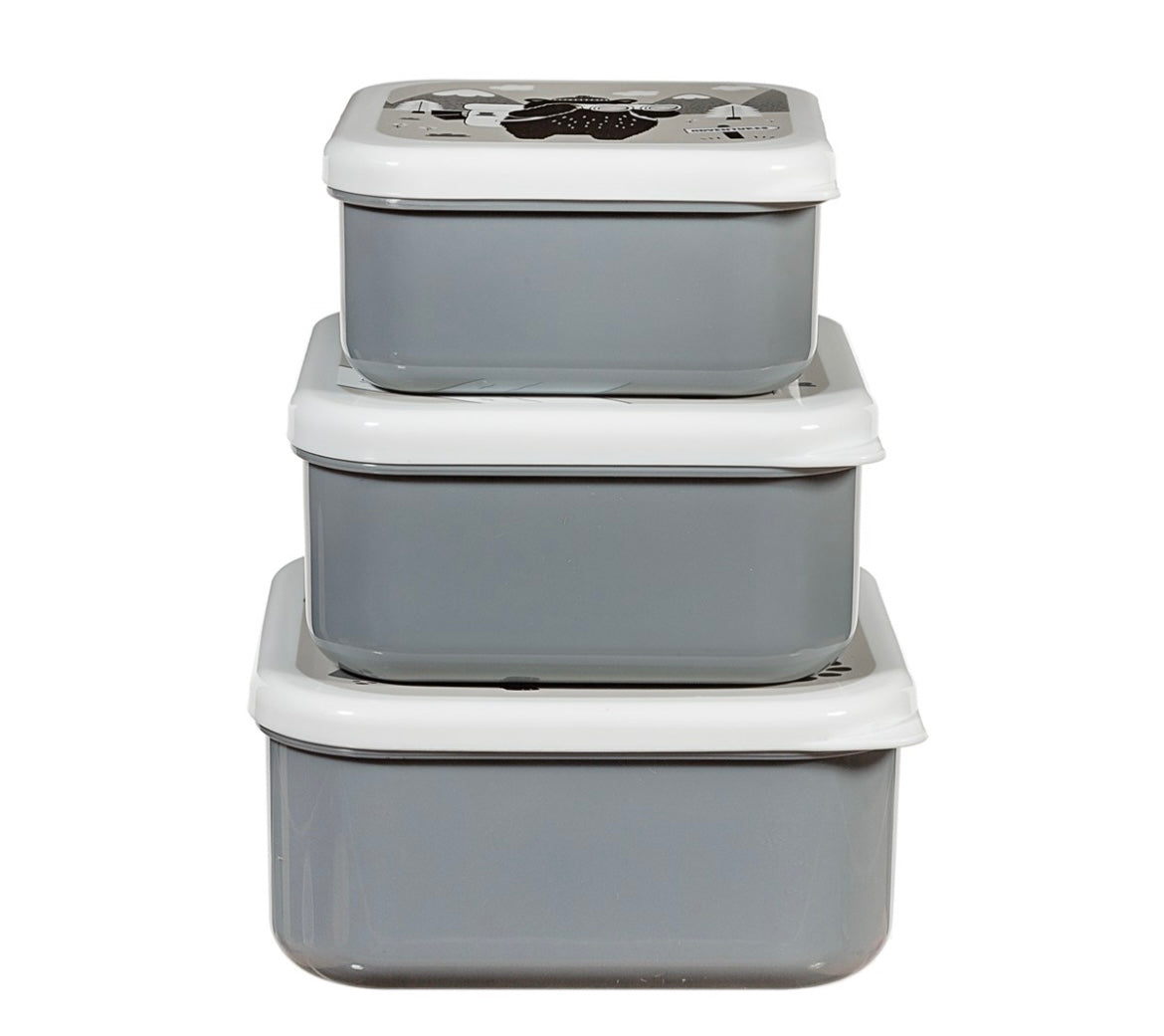 Bear Adventure lunch boxes - Set of Three