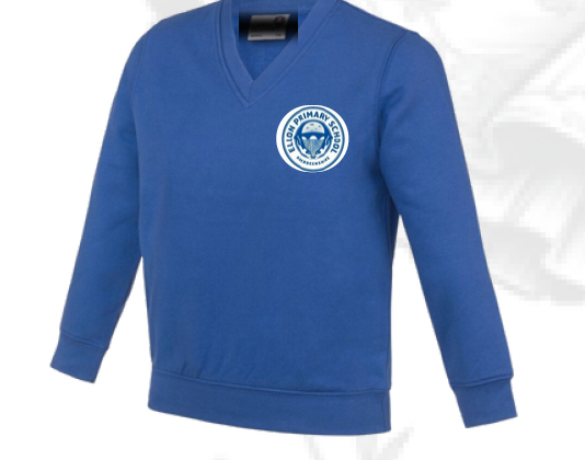 Ellon Primary - V Neck Jumper