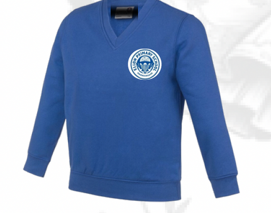 Ellon Primary - V Neck Jumper