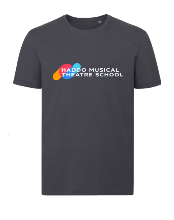 HMTS - Grey T-Shirt (Youth)
