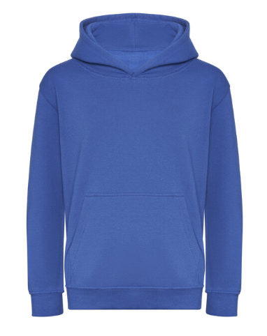 School Hoodie (Adult)